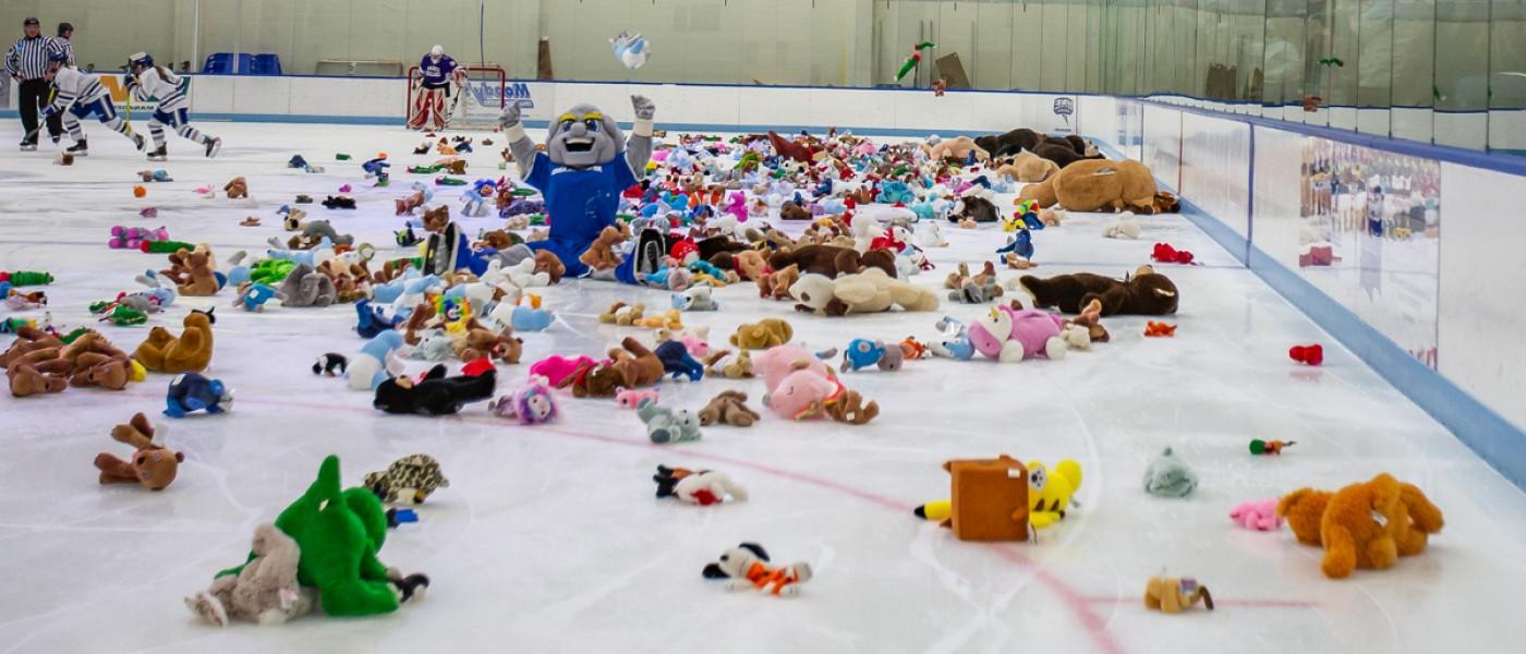U N E mascot Stormin' Norman sits on the ice of a honkey rink surrounded by 填充动物玩具 for a Teddy Bear Toss event