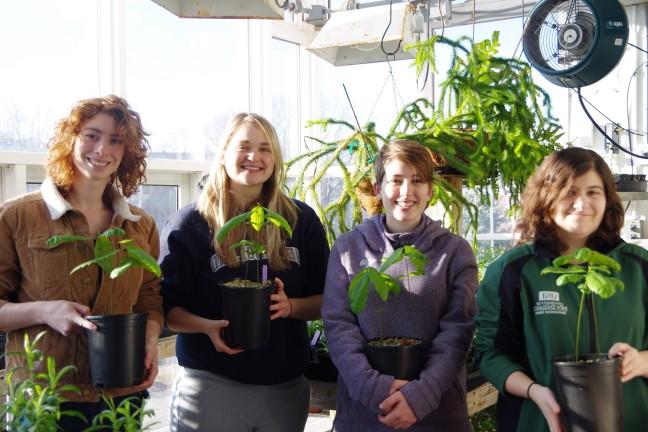 four students hold potted chestnut tree seedlings in a greenhouse